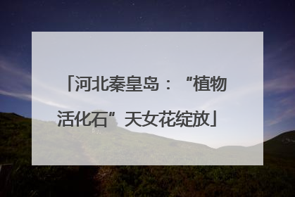 河北秦皇岛：“植物活化石”天女花绽放