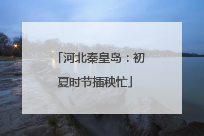 河北秦皇岛：初夏时节插秧忙