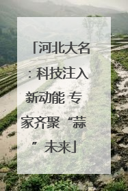 河北大名：科技注入新动能 专家齐聚“蒜”未来
