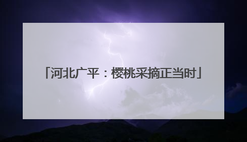 河北广平：樱桃采摘正当时