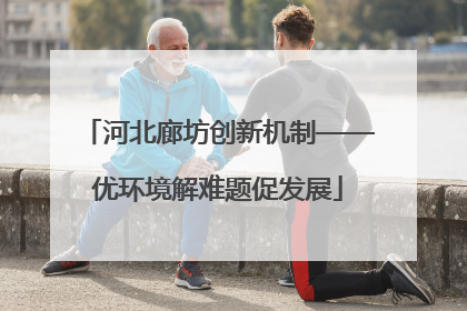 河北廊坊创新机制——优环境解难题促发展