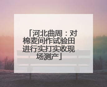 河北曲周：对棉麦间作试验田进行实打实收现场测产
