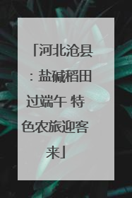 河北沧县：盐碱稻田过端午 特色农旅迎客来