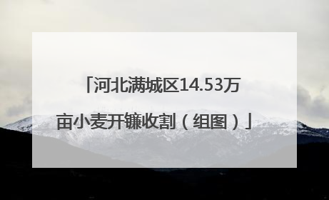 河北满城区14.53万亩小麦开镰收割（组图）