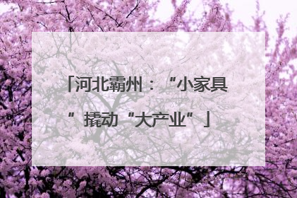 河北霸州：“小家具”撬动“大产业”