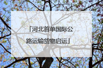 河北首单国际公路运输货物启运
