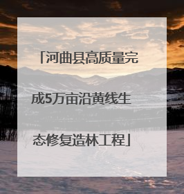 河曲县高质量完成5万亩沿黄线生态修复造林工程