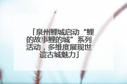 泉州鲤城启动“鲤的故事鲤的城”系列活动，多维度展现世遗古城魅力