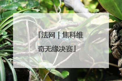 法网｜焦科维奇无缘决赛