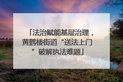 法治赋能基层治理，黄鹤楼街道“送法上门”破解执法难题