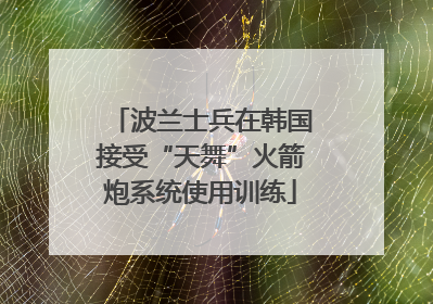波兰士兵在韩国接受“天舞”火箭炮系统使用训练