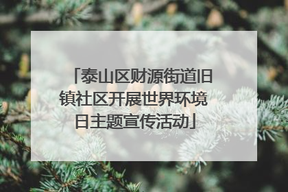 泰山区财源街道旧镇社区开展世界环境日主题宣传活动