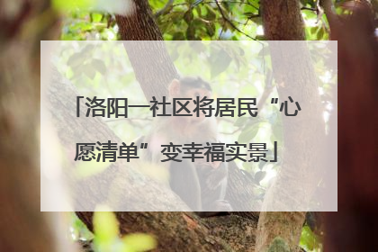 洛阳一社区将居民“心愿清单”变幸福实景