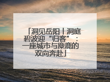 洞见岳阳丨洞庭碧波迎“归客”：一座城市与麋鹿的双向奔赴
