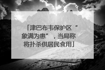 津巴布韦保护区“象满为患”，当局称将扑杀供居民食用