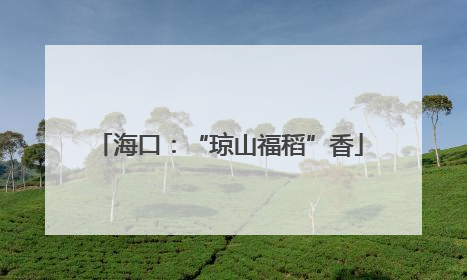 海口：“琼山福稻”香