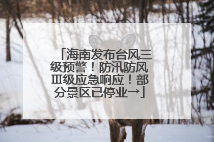 海南发布台风三级预警！防汛防风Ⅲ级应急响应！部分景区已停业→