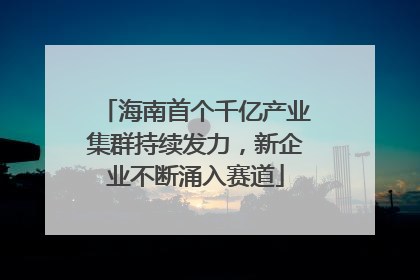 海南首个千亿产业集群持续发力，新企业不断涌入赛道