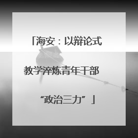 海安：以辩论式教学淬炼青年干部“政治三力”