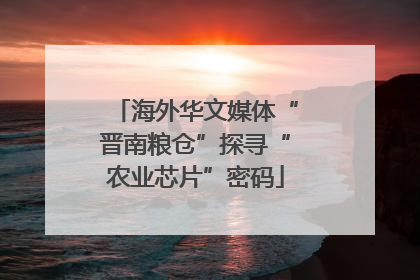 海外华文媒体“晋南粮仓”探寻“农业芯片”密码