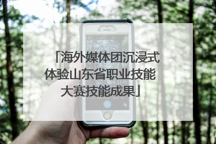 海外媒体团沉浸式体验山东省职业技能大赛技能成果