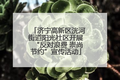 济宁高新区洸河街道阳光社区开展“反对浪费 崇尚节约”宣传活动