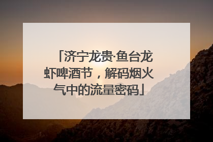 济宁龙贵·鱼台龙虾啤酒节，解码烟火气中的流量密码