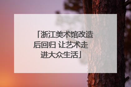 浙江美术馆改造后回归 让艺术走进大众生活