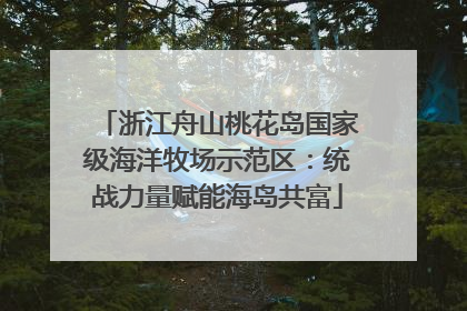 浙江舟山桃花岛国家级海洋牧场示范区：统战力量赋能海岛共富