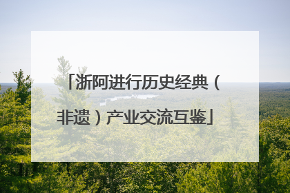 浙阿进行历史经典（非遗）产业交流互鉴