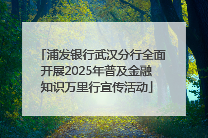 浦发银行武汉分行全面开展2025年普及金融知识万里行宣传活动