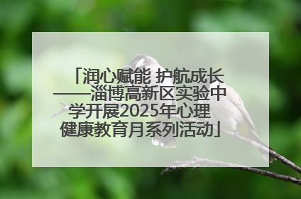 润心赋能 护航成长——淄博高新区实验中学开展2025年心理健康教育月系列活动