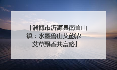 淄博市沂源县南鲁山镇：水墨鲁山艾韵浓 艾草飘香共富路