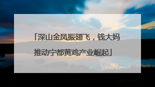 深山金凤振翅飞，钱大妈推动宁都黄鸡产业崛起