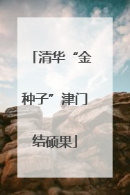 清华“金种子”津门结硕果