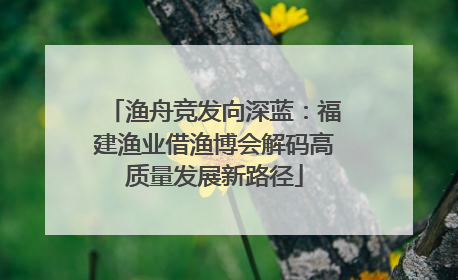 渔舟竞发向深蓝：福建渔业借渔博会解码高质量发展新路径
