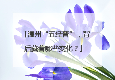 温州“五经普”，背后藏着哪些变化？