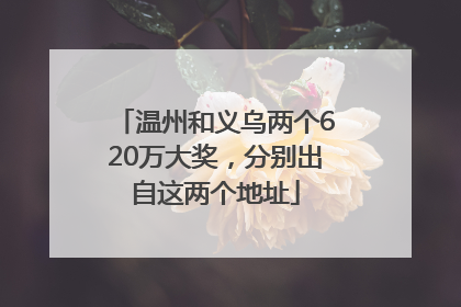 温州和义乌两个620万大奖，分别出自这两个地址