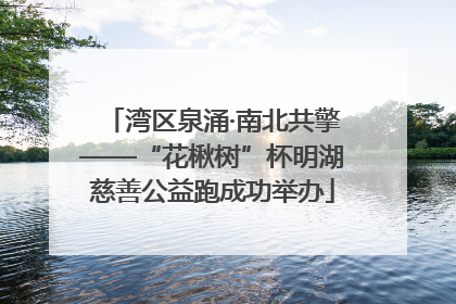 湾区泉涌·南北共擎——“花楸树”杯明湖慈善公益跑成功举办