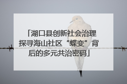 湖口县创新社会治理 探寻海山社区“蝶变”背后的多元共治密码