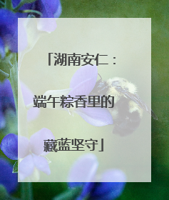 湖南安仁：端午粽香里的藏蓝坚守