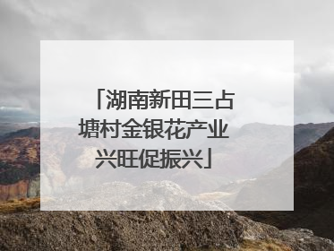 湖南新田三占塘村金银花产业兴旺促振兴