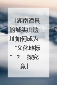 湖南澧县的城头山遗址如何成为“文化地标”？一探究竟