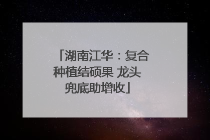湖南江华：复合种植结硕果 龙头兜底助增收