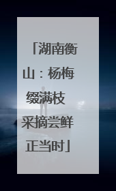 湖南衡山：杨梅缀满枝 采摘尝鲜正当时
