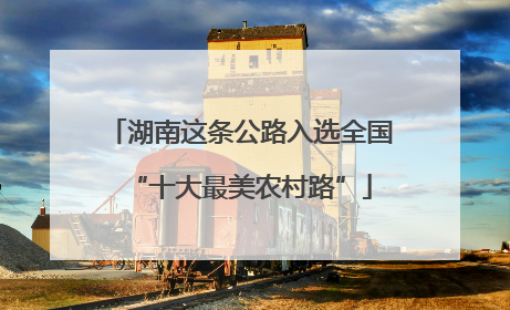湖南这条公路入选全国“十大最美农村路”