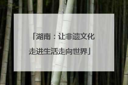 湖南：让非遗文化走进生活走向世界