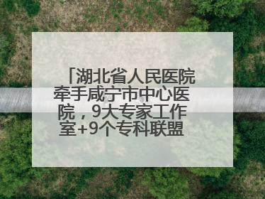 湖北省人民医院牵手咸宁市中心医院，9大专家工作室+9个专科联盟筑牢区域医疗网