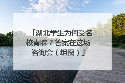 湖北学生为何受名校青睐？答案在这场咨询会（组图）
