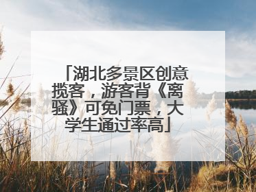 湖北多景区创意揽客，游客背《离骚》可免门票，大学生通过率高